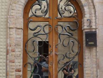  Protection pour porte en fer forgé